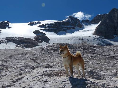东决关键战之夜，李刚仁化身韩国魔术师，一传一射定乾坤