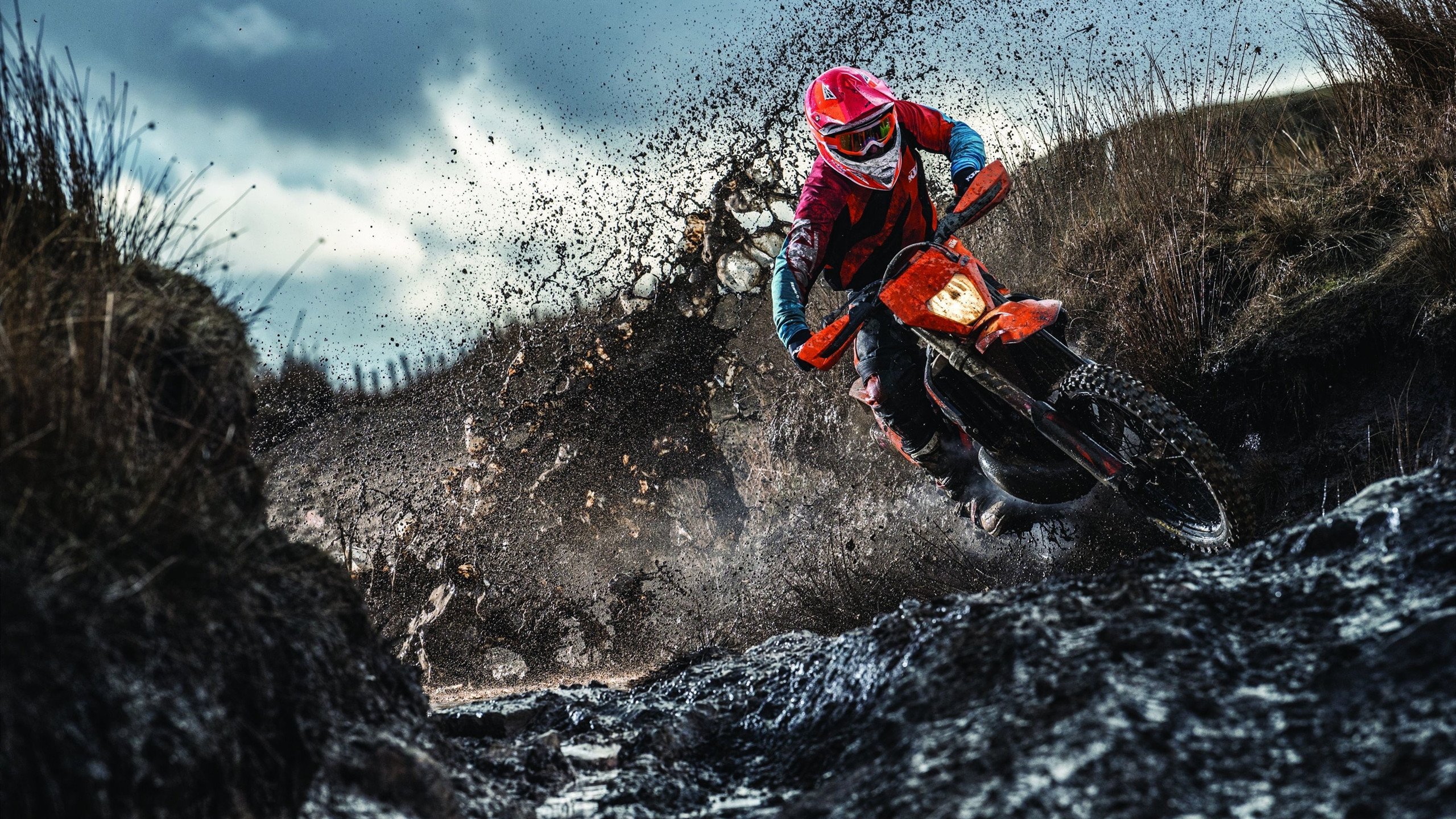 横跳！鹈鹕绝杀广厦，塔图姆跨海接管西甲德比