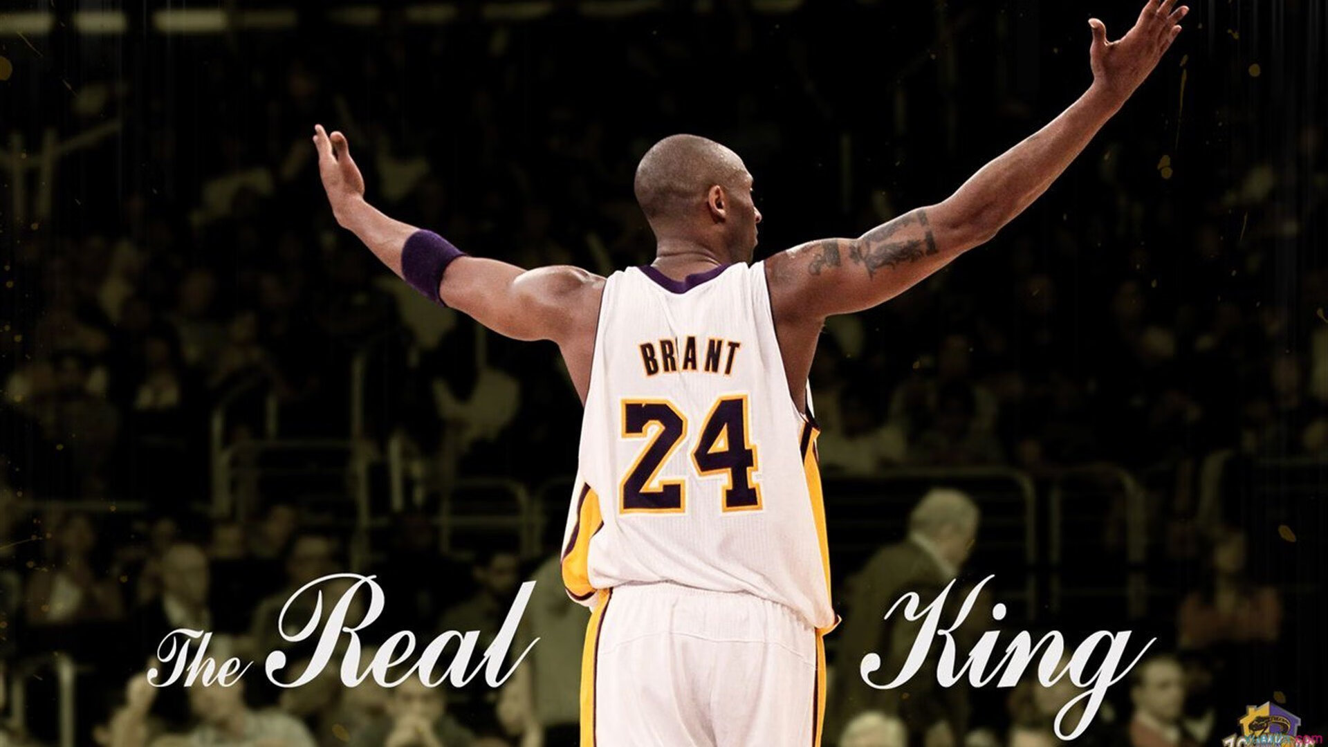 开云体育在线-黑暗骑士，福克斯在抢七之夜的无声交响